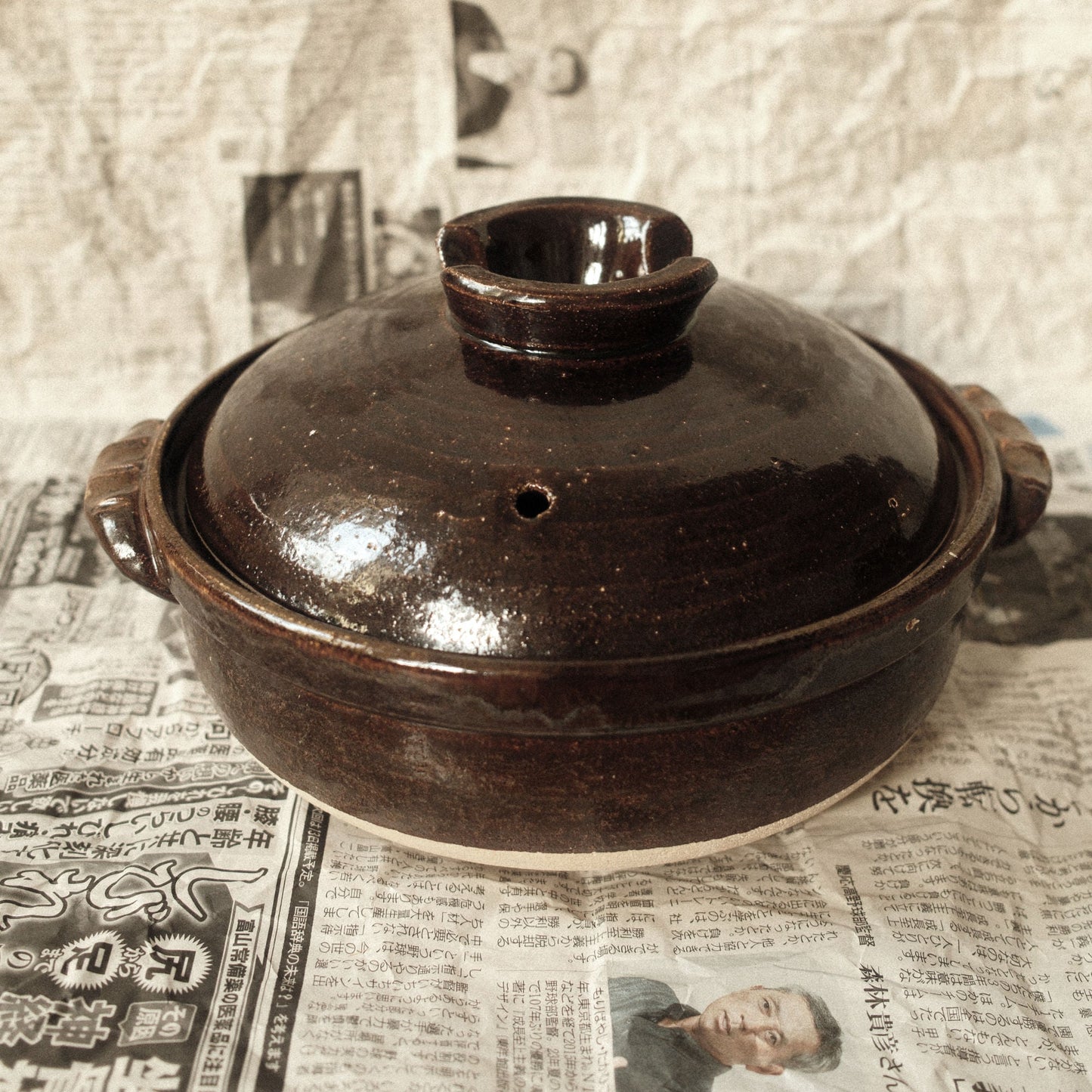 Iga Clay Donabe